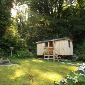 'Morris' the shepherd's hut with woodland hot tub